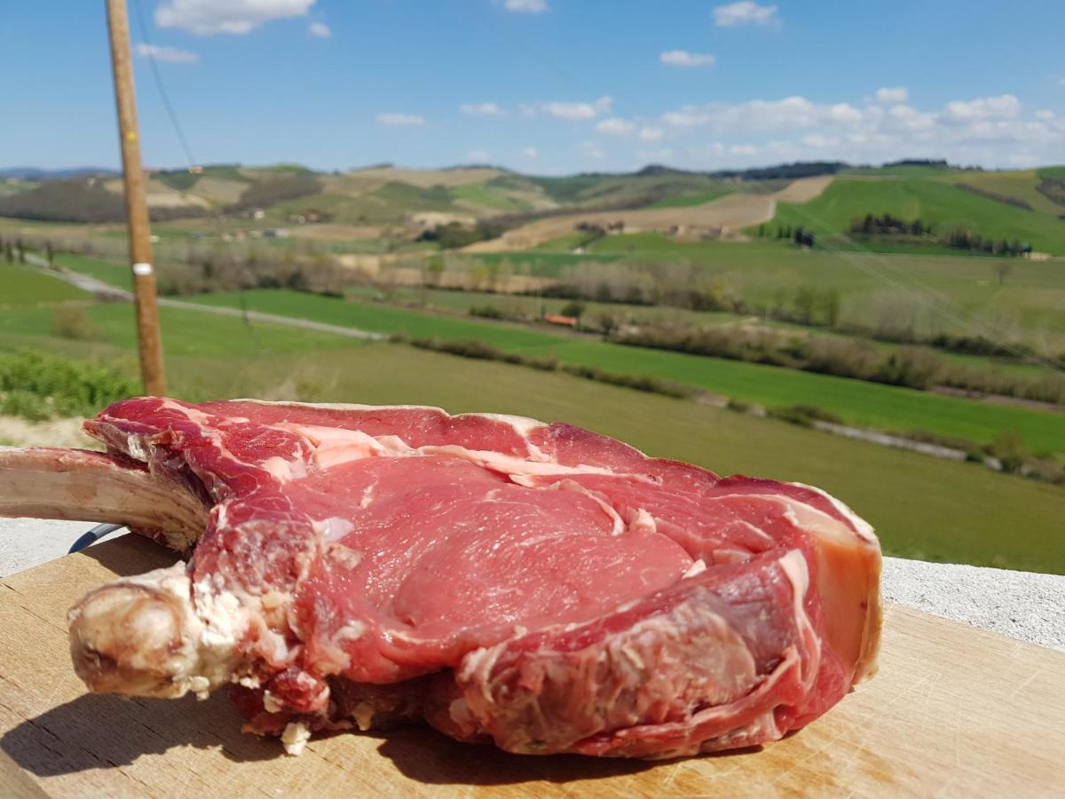 Agriturismo Montepinci Μονταλτσίνο Εξωτερικό φωτογραφία